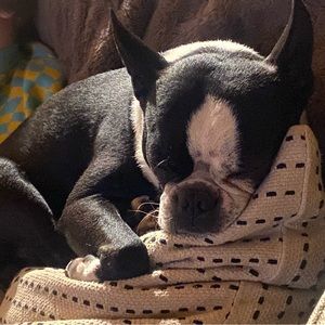 Meet your Posher, Benjamin